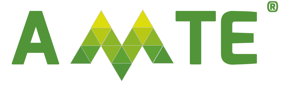 AMTE - Asociación Mexicana de Turismo Educativo